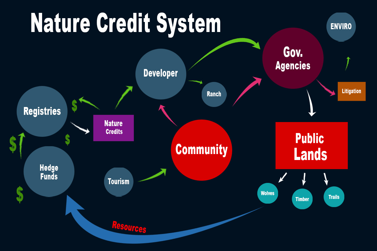 Money flow chart bypassing community